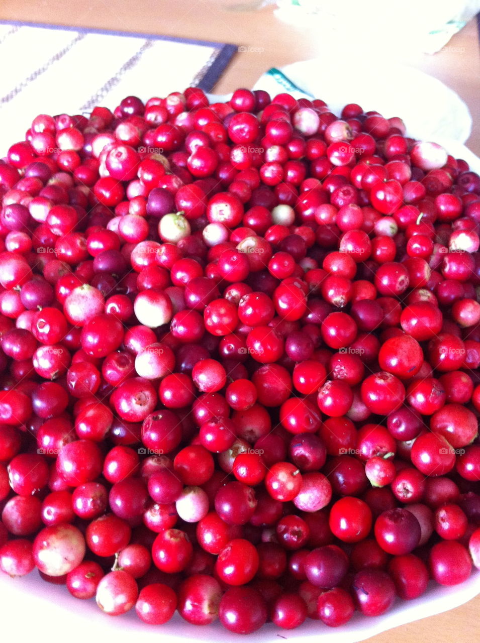 Lingonberry