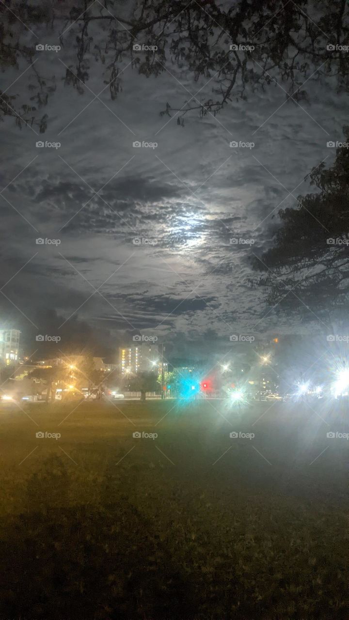 moonlight walk home in Honolulu