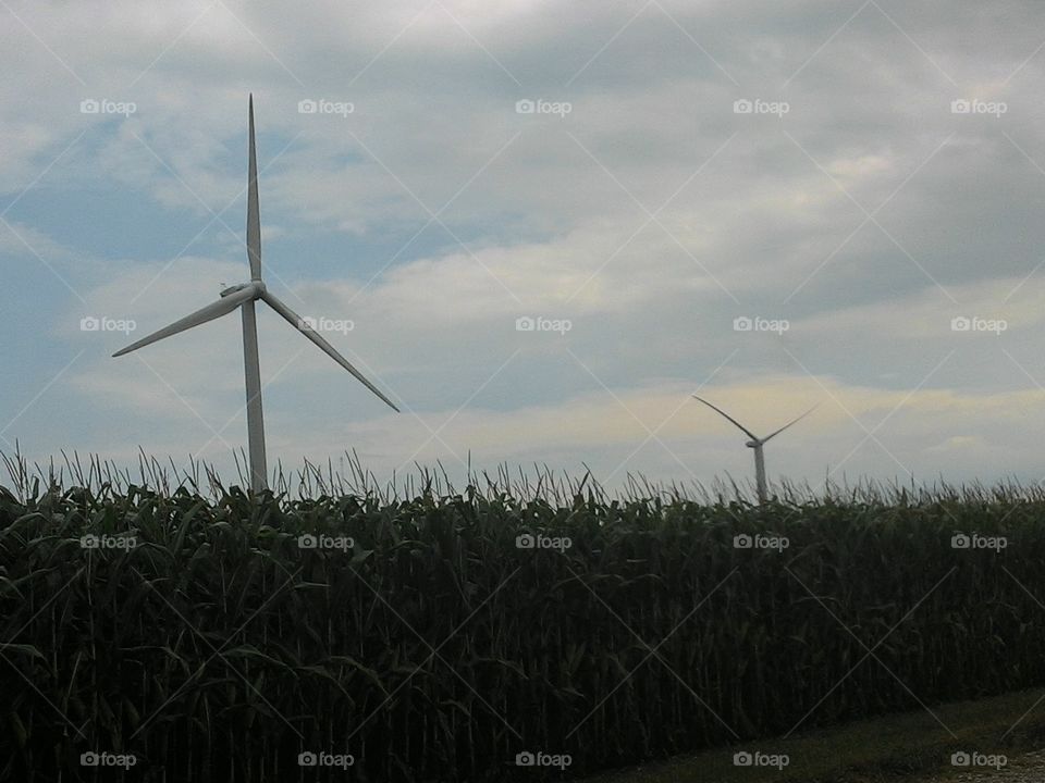 wind farm in the fields. wind mills in the corn field