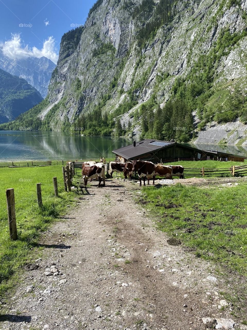 Nature of Berchtesgaden 
