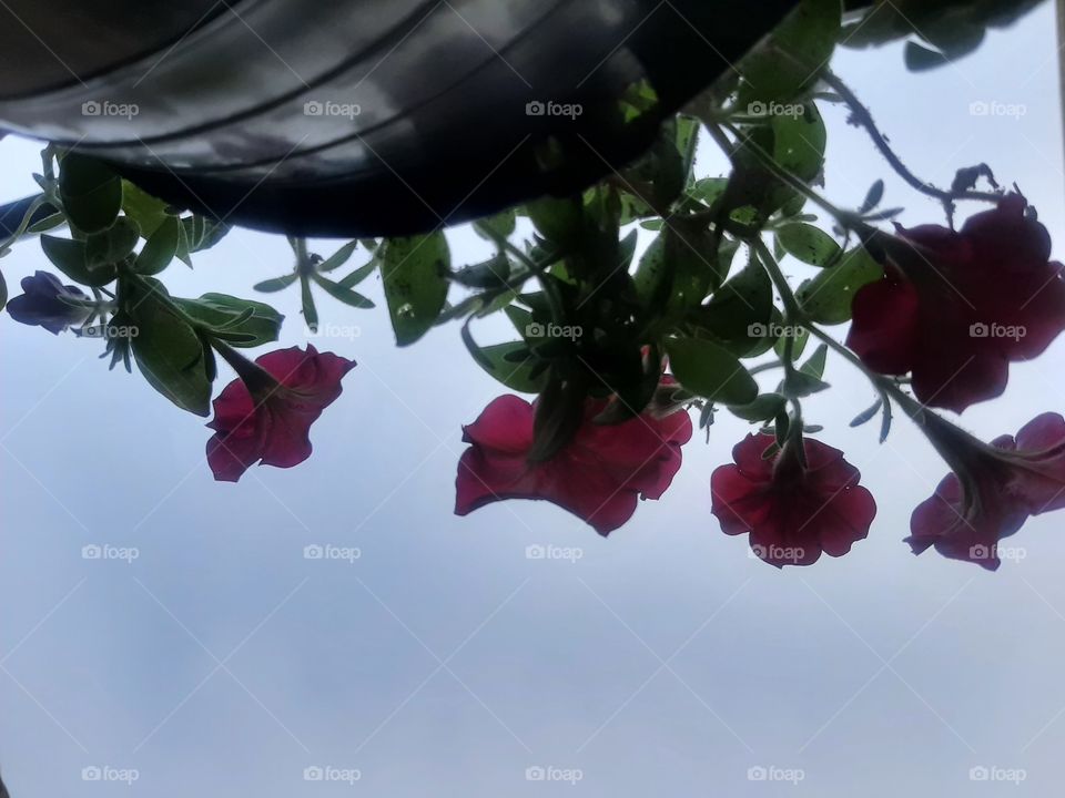 the sky is the best limit to achive goals!