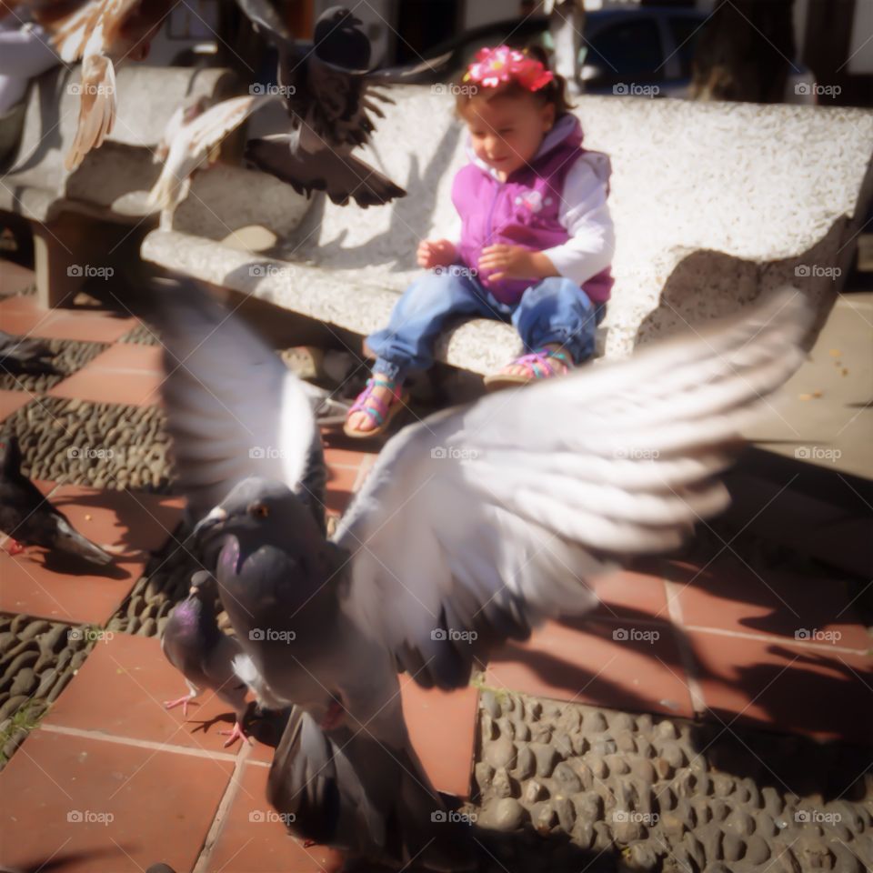 Passing Time. A toddler passes the time playing with pigeons.