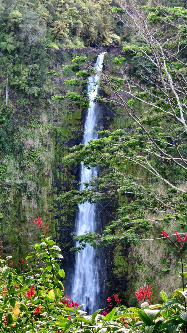 Hiking along the waterfalls