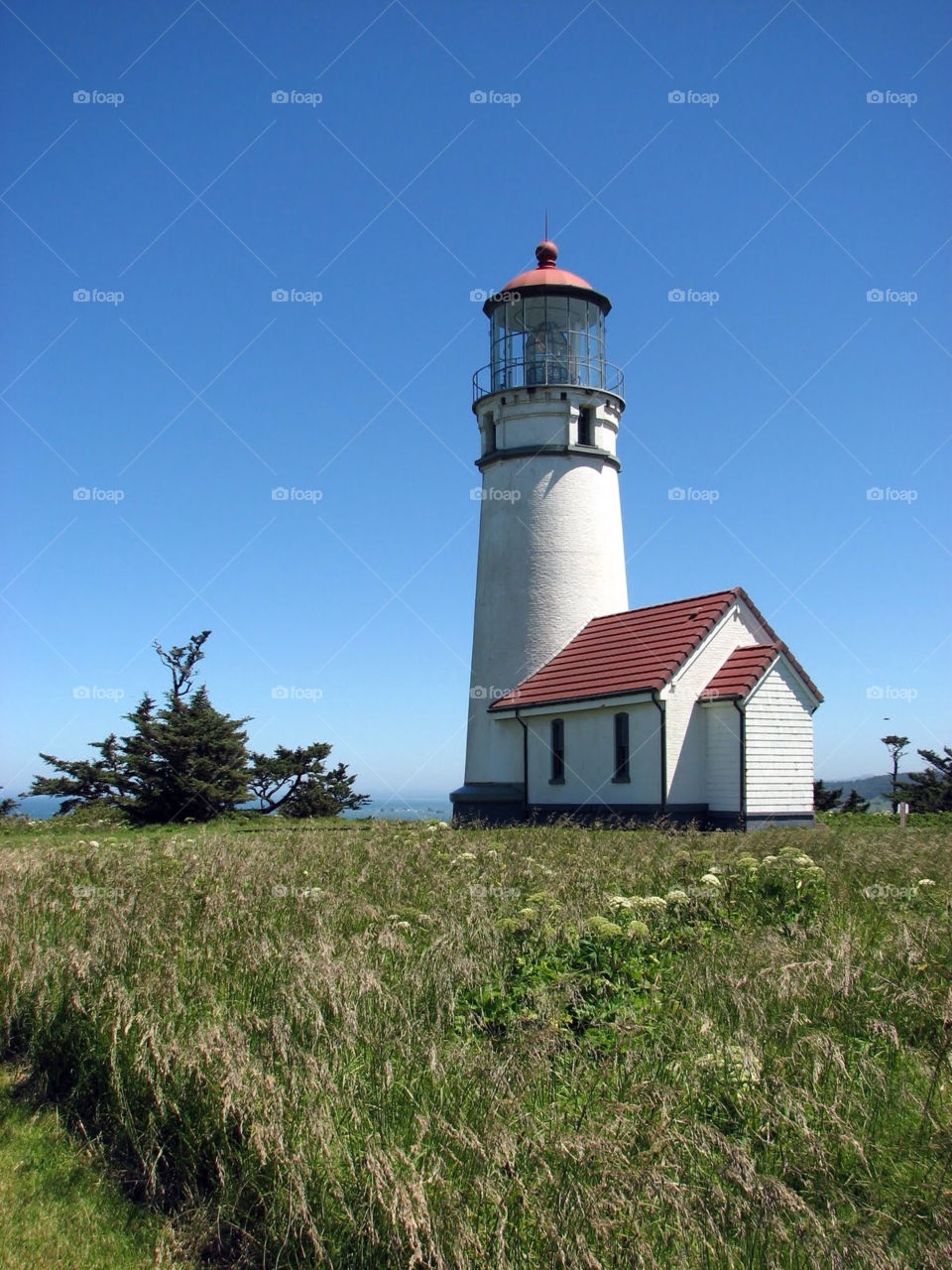 oregon direction lighthouse cape by Garbonzobean