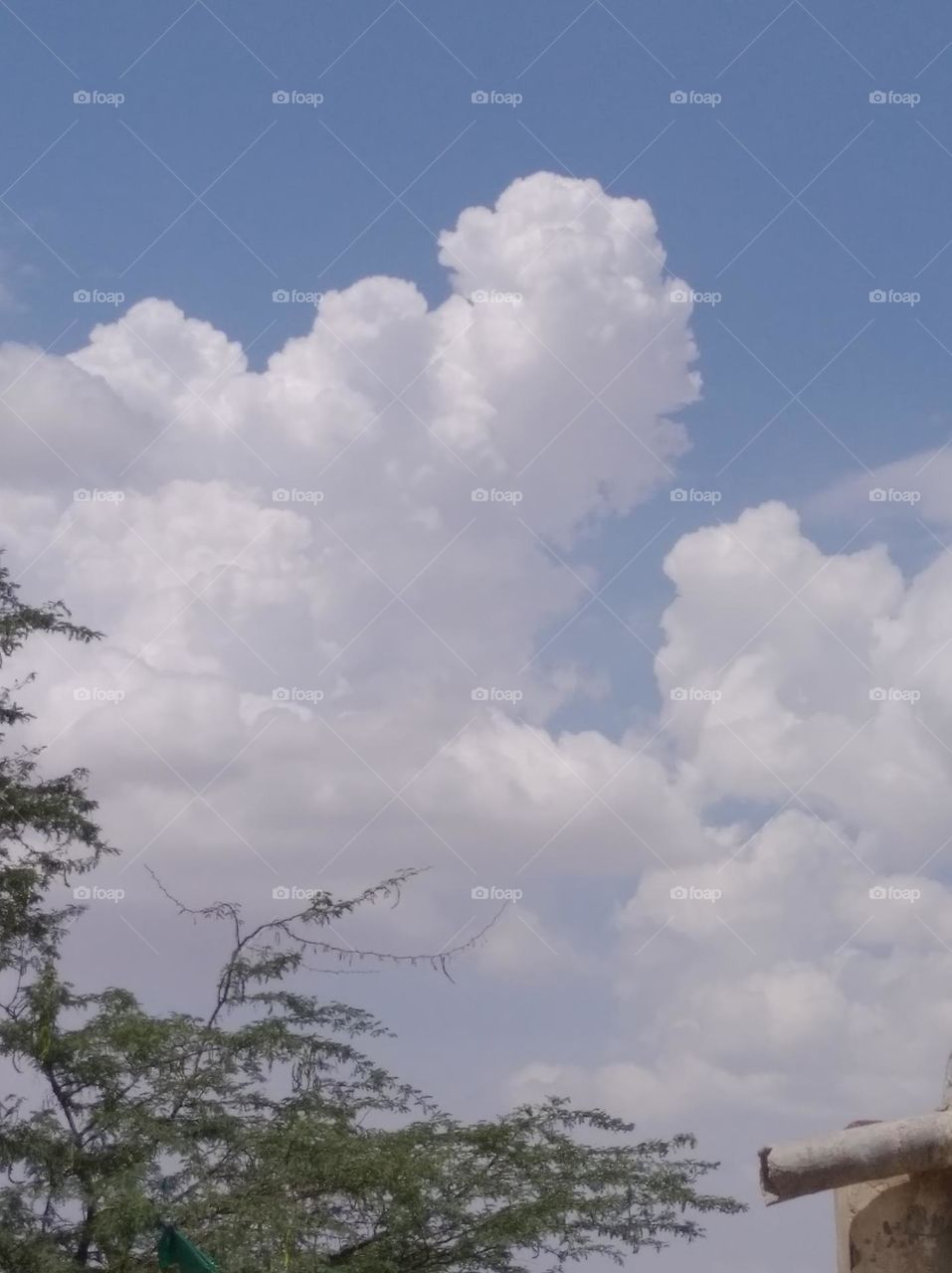 a shiney day white clouds in blue sky whitish cloud scattered green plant tree looks very beautiful