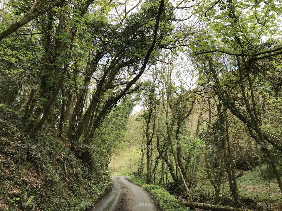 Bridford, Devon, UK some of the counties finest countryside can be found there.
