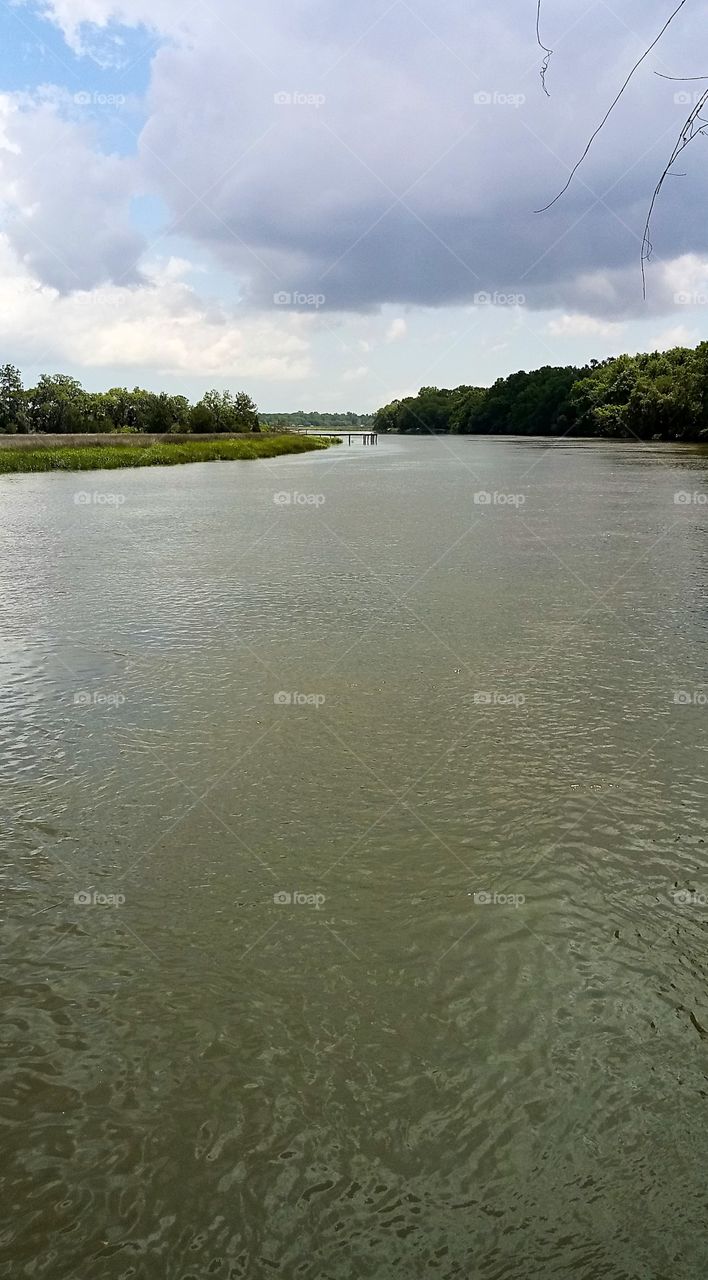 the downstream view of the Ashley River
