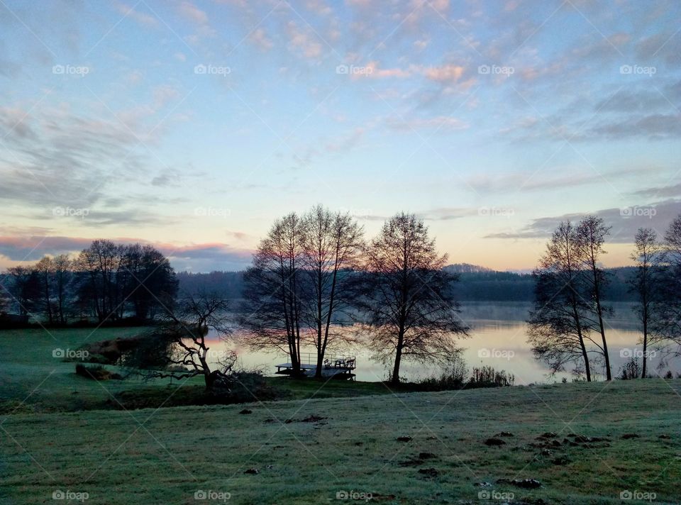 Tree, Landscape, Dawn, Fall, Nature