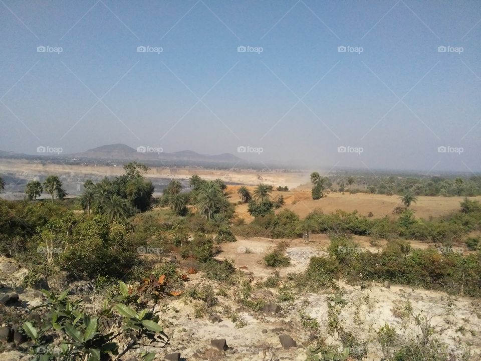 The area is located in the Jharkhand state of India, where many plants are grown.