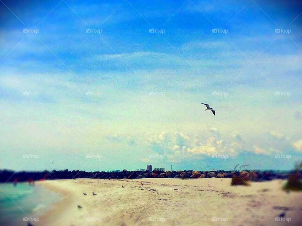 Panama City Beach Florida 