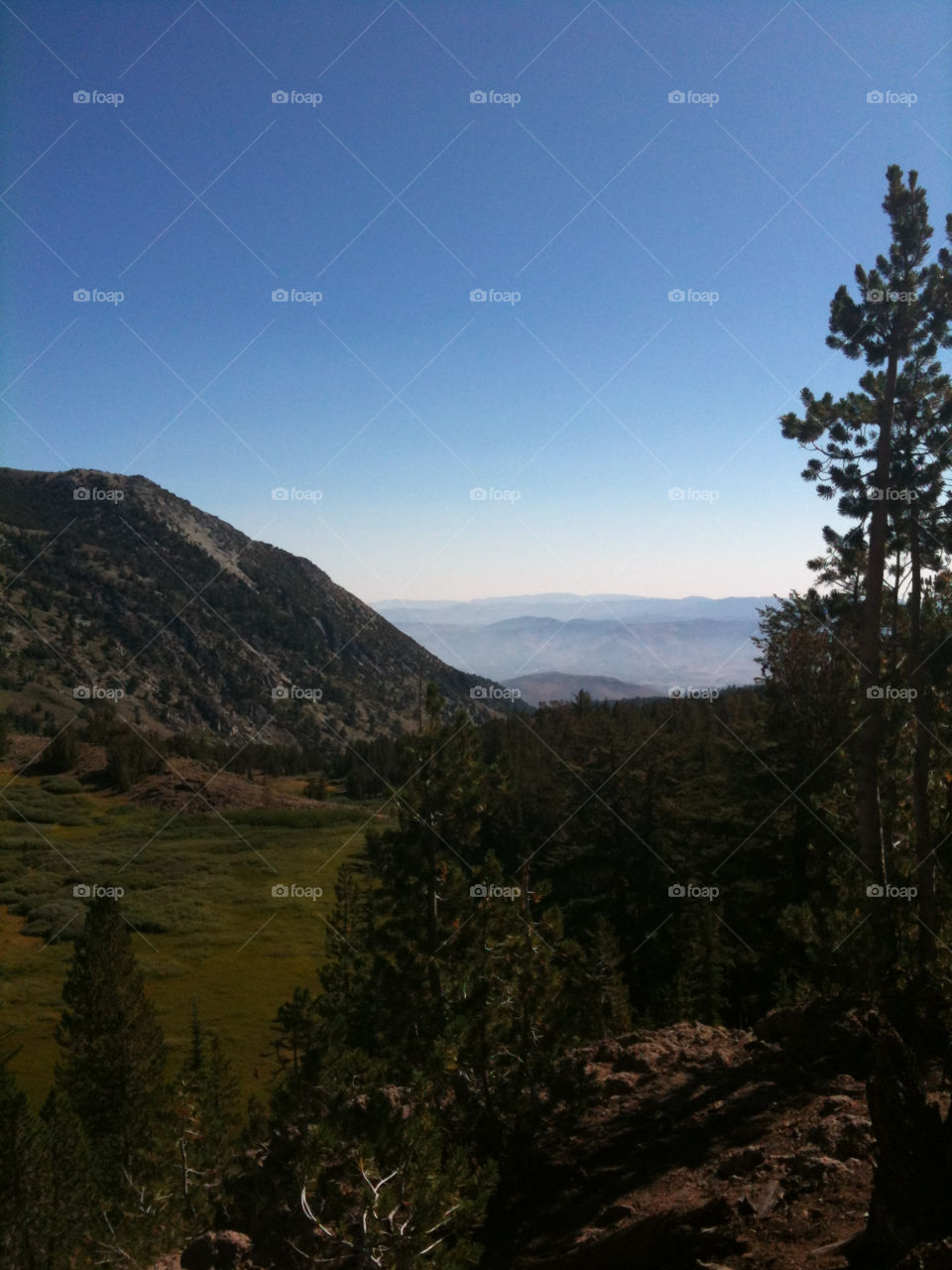 trees mountains view hiking by melody