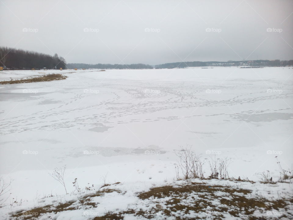 Winter, Snow, Landscape, Cold, Fog