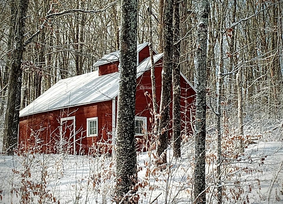 Rustic red sugar shack in the forest after a snowstorm in the middle of winter in New England.