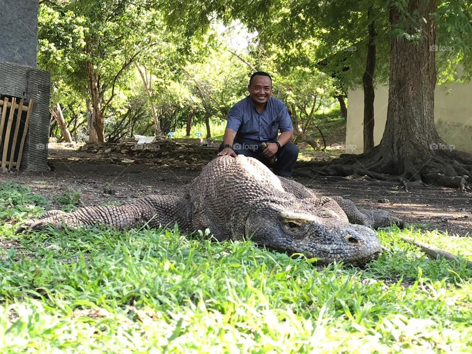 That’s is real KOMODO