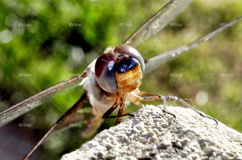 Can you see my smile? 😃