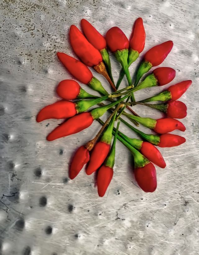 Chili pepper 