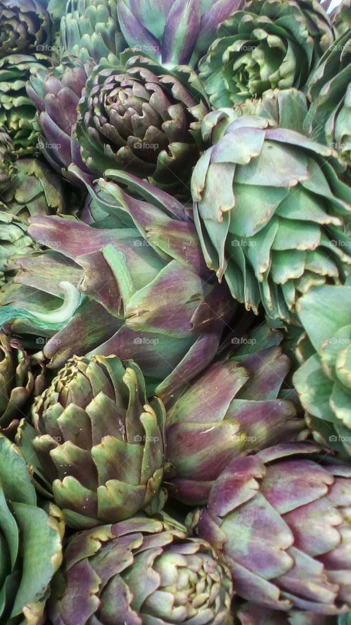 Artichoke
