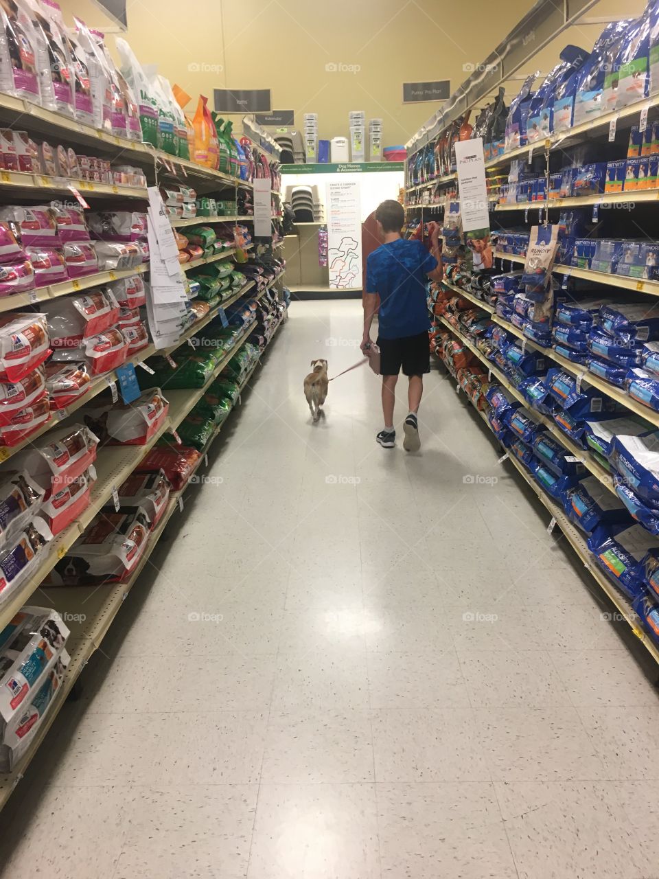 A boy and his dog stroll down an isle at a pet food shop, looking for yummy treats to get. Happy friendship
