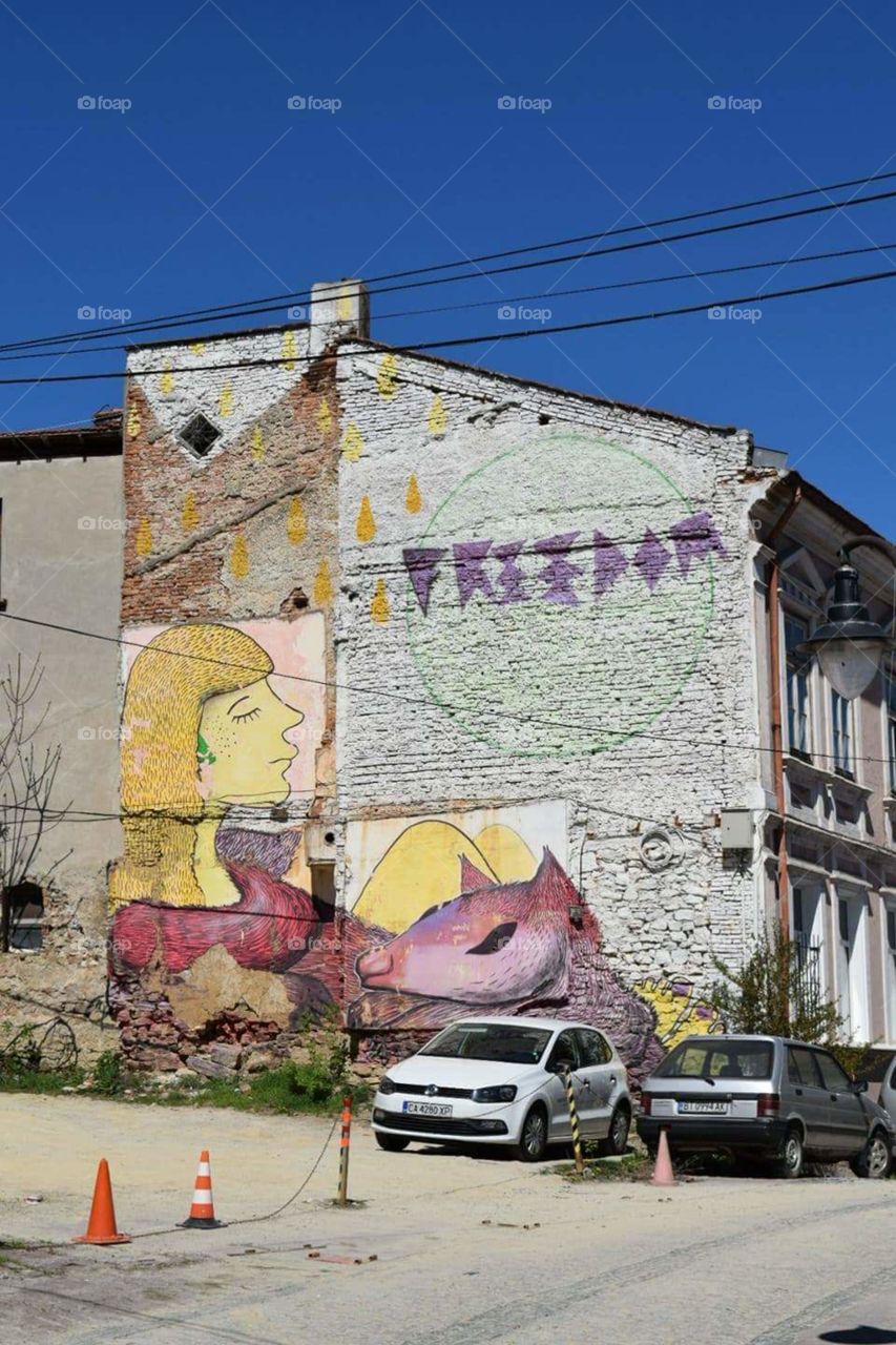 Street art in Veliko Tarnovo, Bulgaria