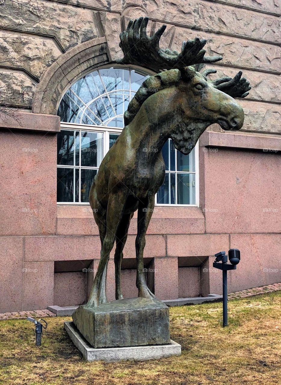 Big bronze elk real size statue on the stand near the wall with big window