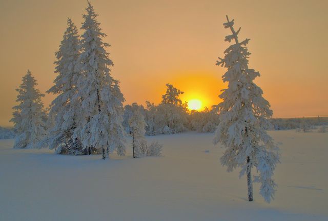 winter sunset
