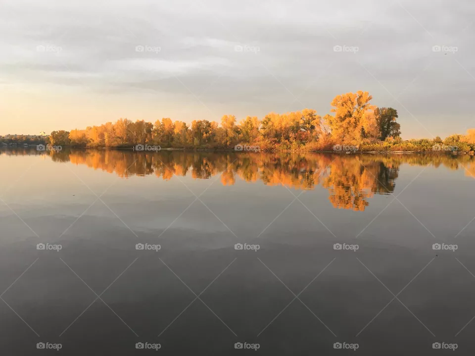 Autumn trees and river 