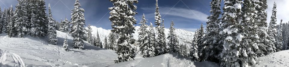 Skiing Alta 3
