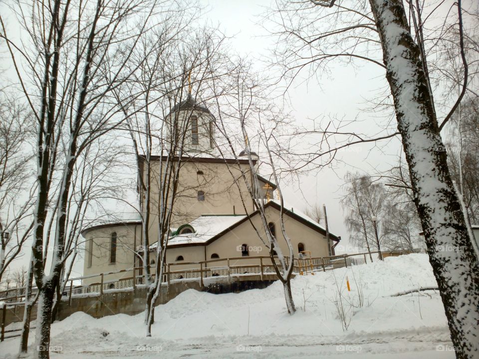 Winter, Snow, Weather, Wood, Tree