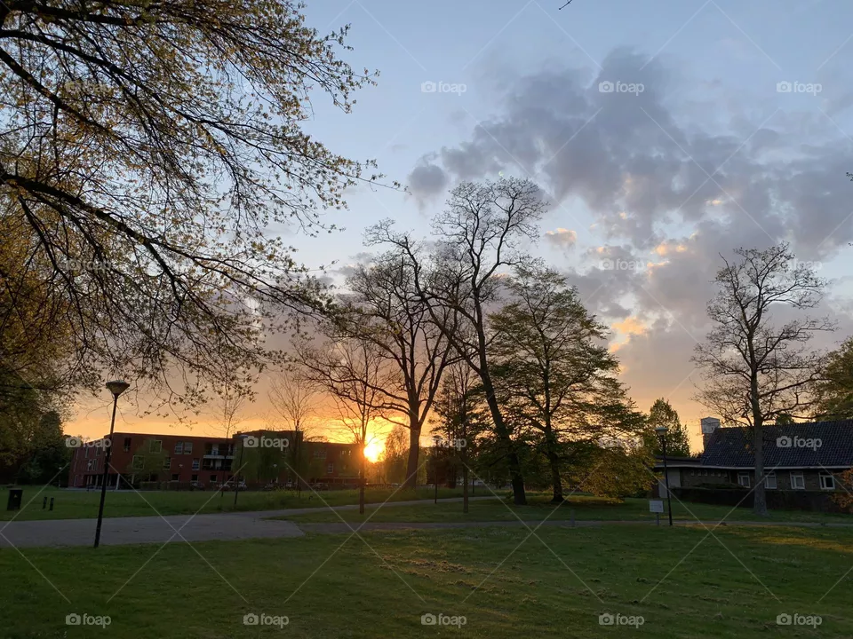Park
