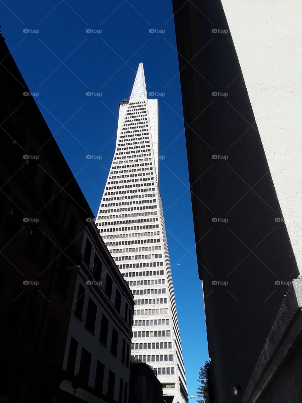 Architecture, City, Office, No Person, Skyscraper