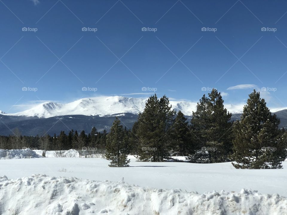 A snow covered mountain range and pine forests.