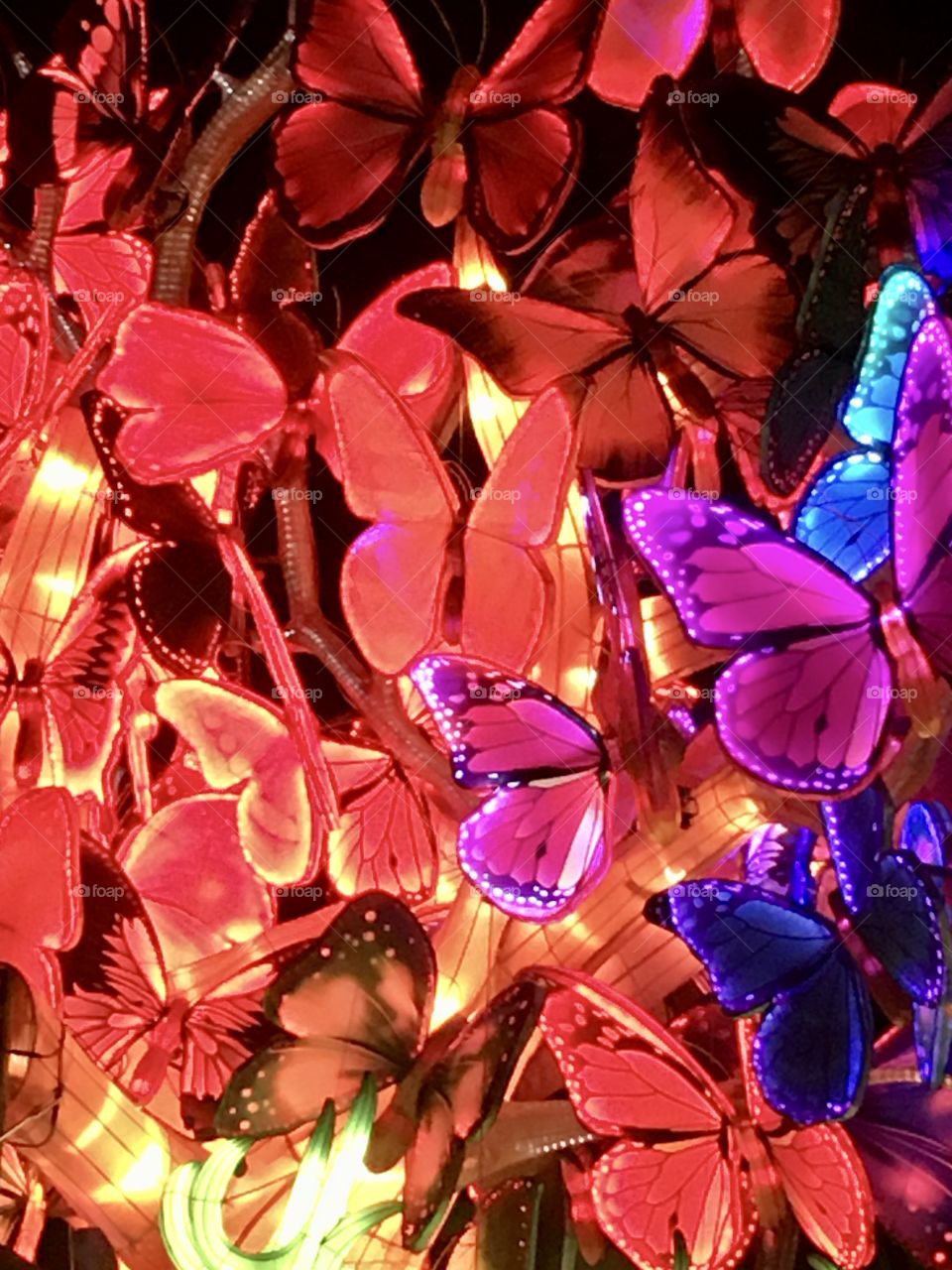 Beautiful, bright colored, lighted butterflies 