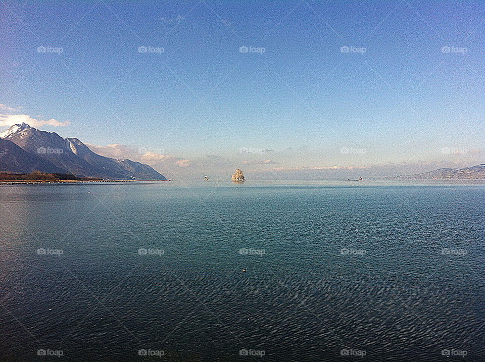 the of tree england by swisstraveler