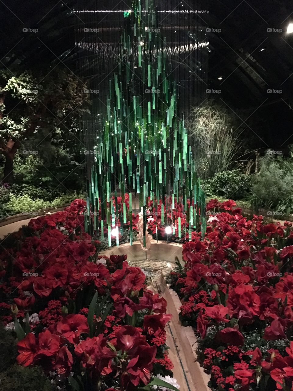 Longwood Gardens 