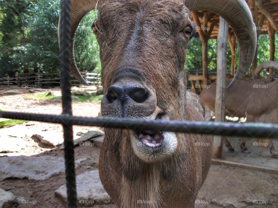 And he said : "whaaaaaat ? "