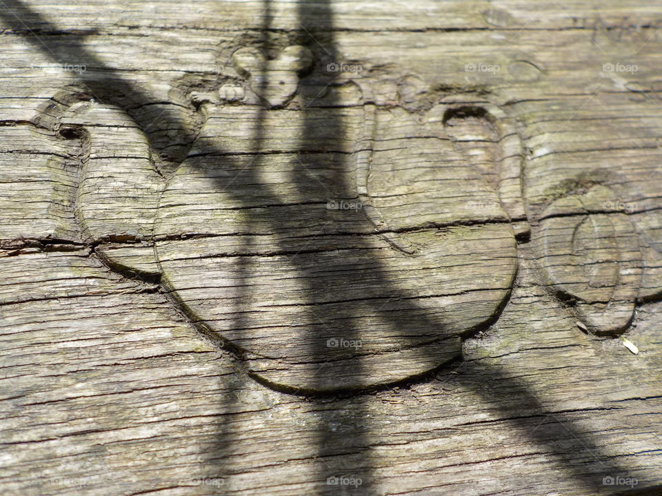 Tea time little miss mouse!