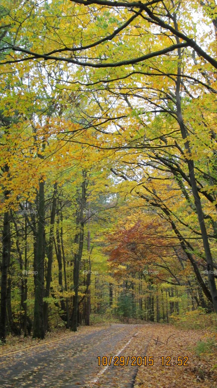 Northern Michigan 