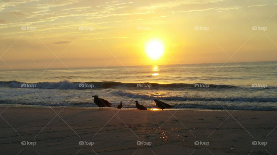 the early birds. sunrise in Harvey Cedars, NJ