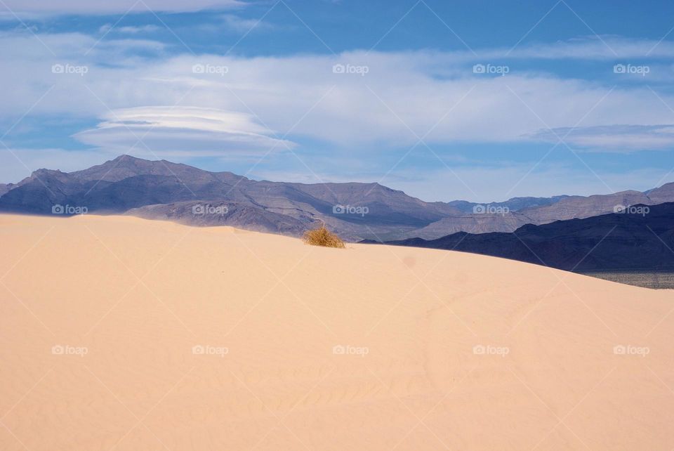 Nevada desert 