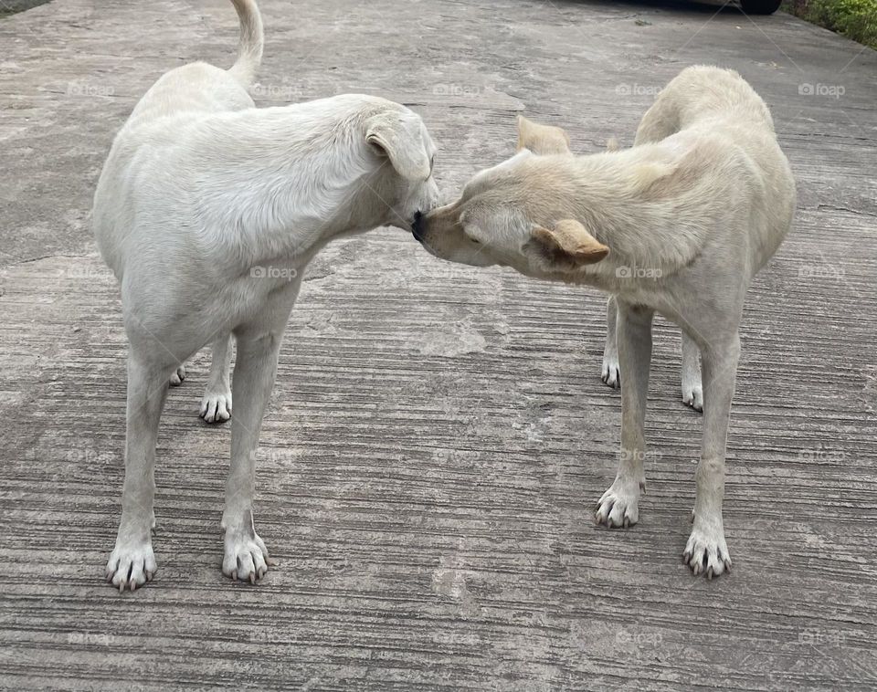 Two generations of paw-some love! 