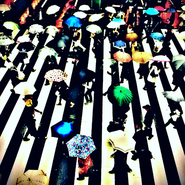 road colours parasol people by gosh