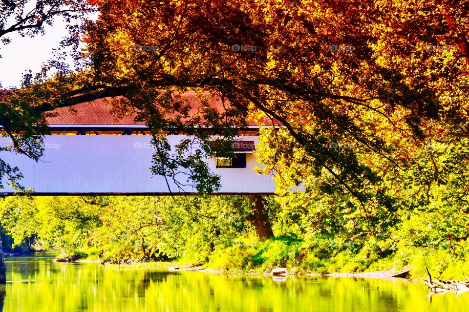 Potters covered bridge. 