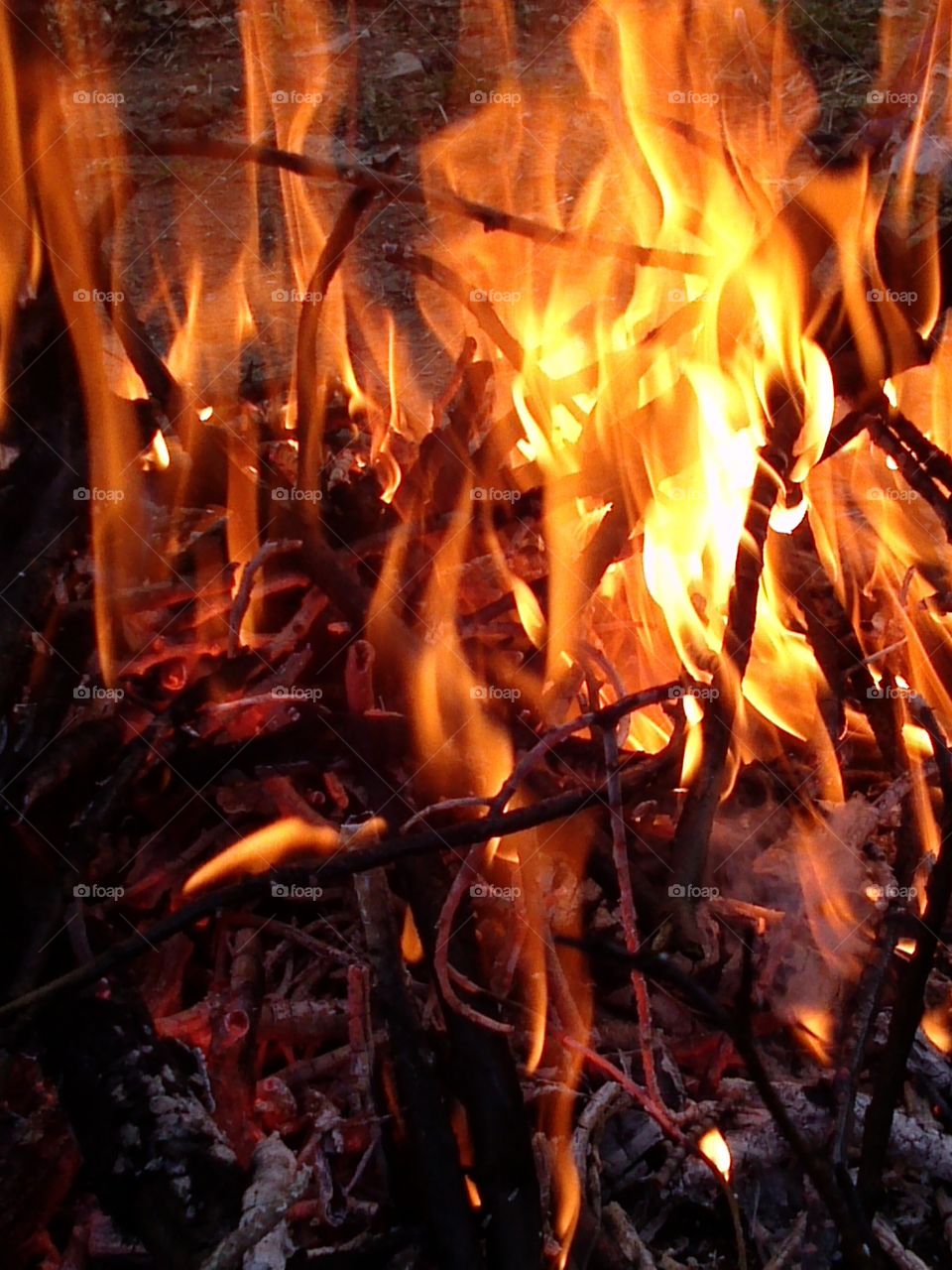 Close-up of fire