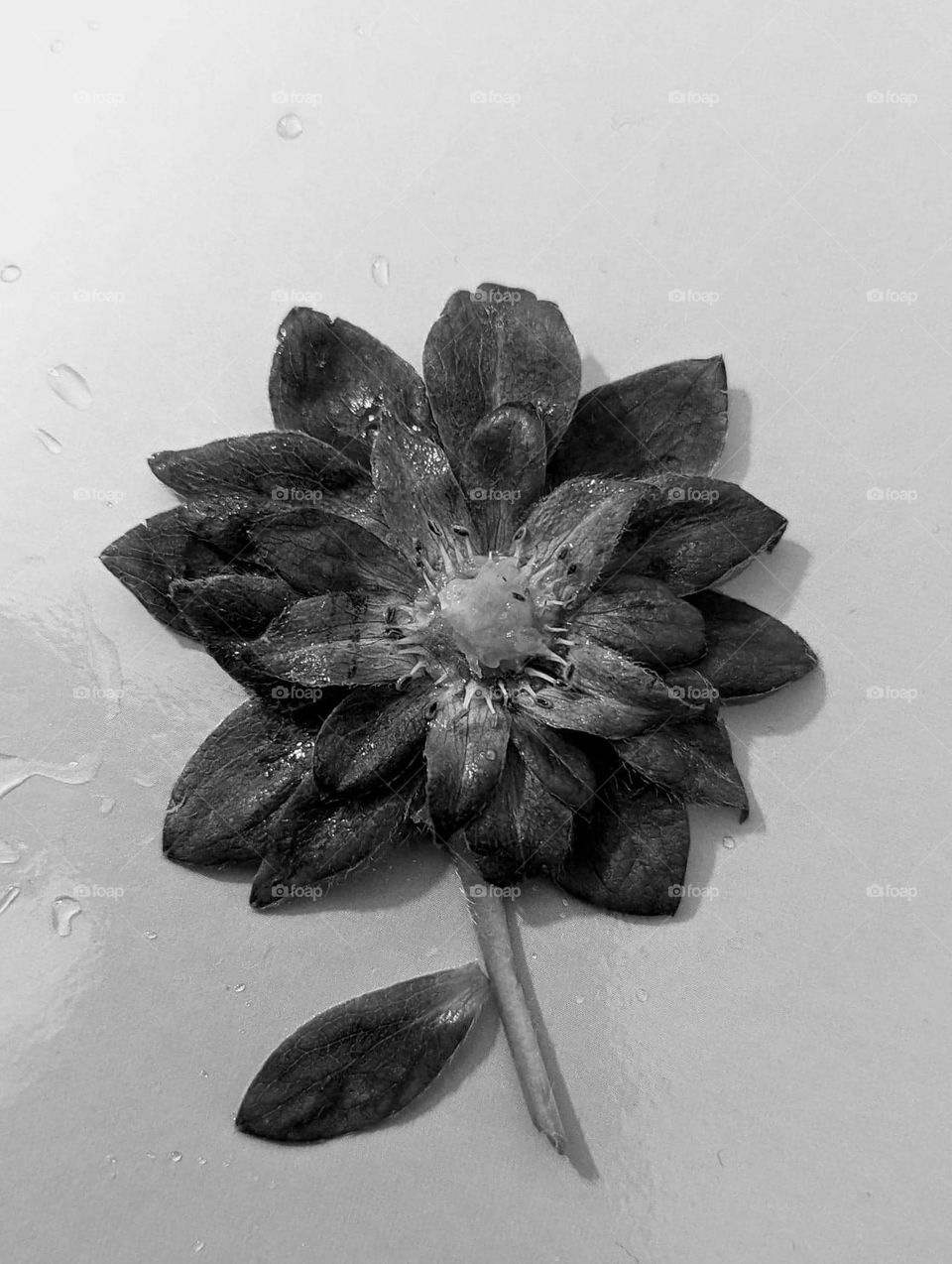 Creativity flower