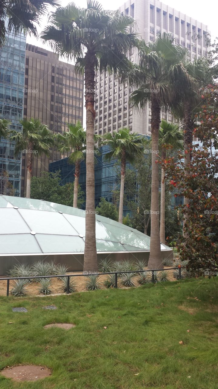 the rooftop skylight dome
