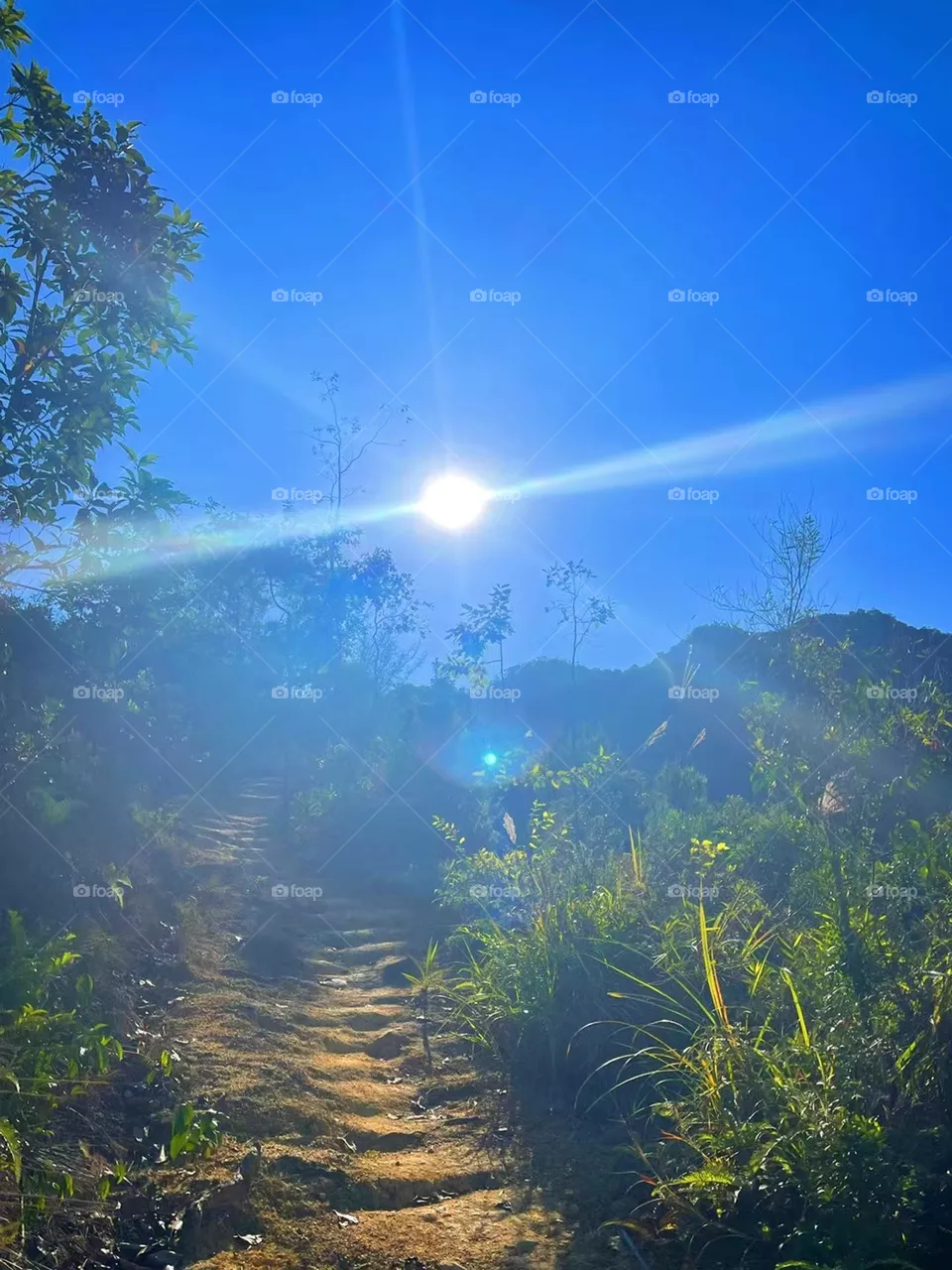 Sun Shine