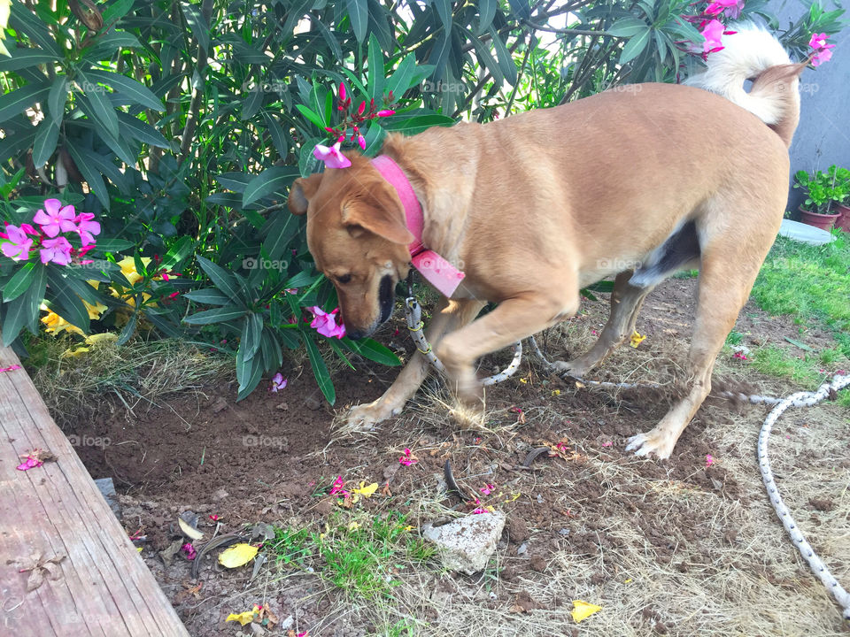 Enjoying Digging 