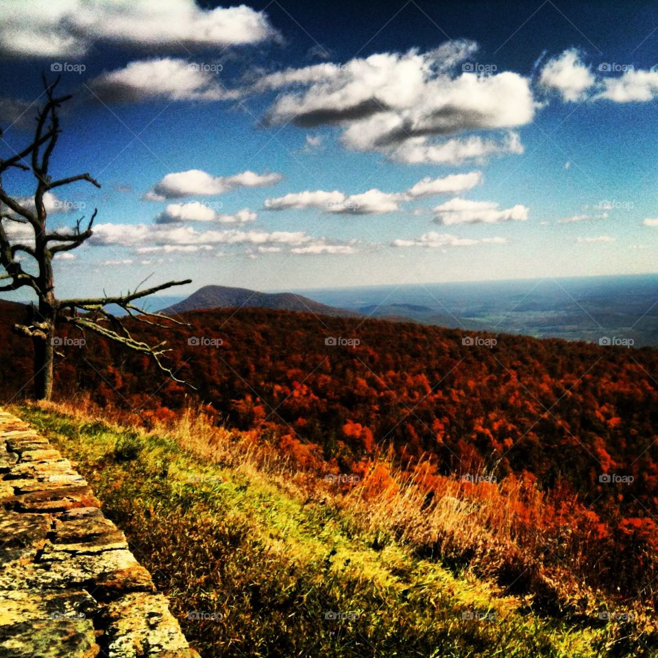 Skyline drive 