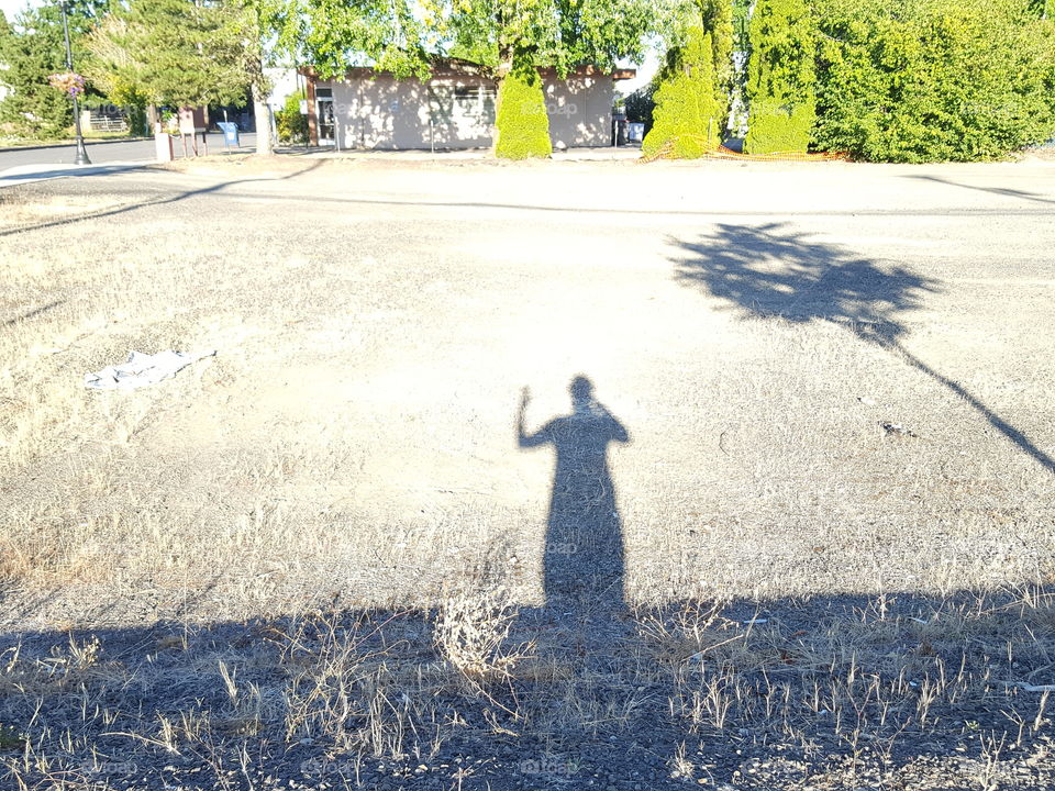 shadow