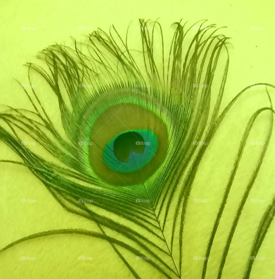green feather